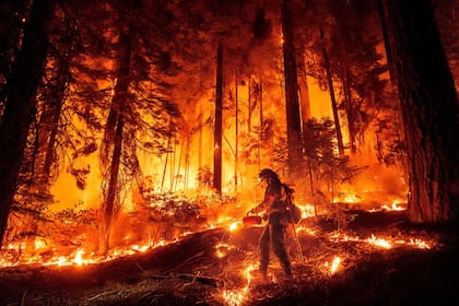 Se prevén incendios forestales al noroeste de Nevada (AP Foto/Noah Berger)