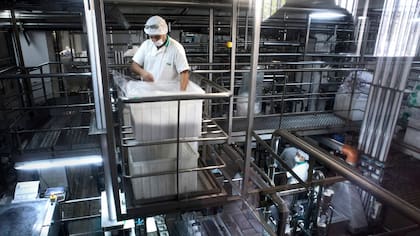 Se producen cerca de 10.000 kg de dulce de leche por día