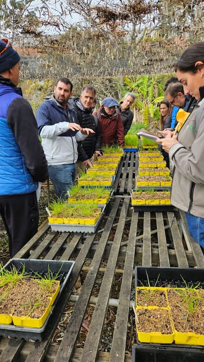 Se producen principalmente colza, trigo, cebada y lupino, con presencia de ganadería, sobre todo de ovejas. Los suelos son pedregosos a arcillosos, con materia orgánica por debajo del 1%