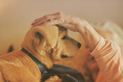 Se proyecta que Jennie podrá monitorear el bienestar físico y emocional de sus usuarios (Foto: Tombot)