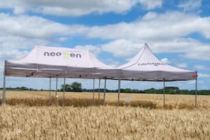 Estrategias para una mayor productividad