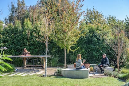 Se proyectó el fogonero-parrilla como un lugar de sombra en verano y de sol en invierno, con árboles caducos