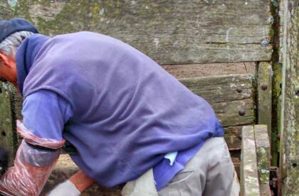 "Se puede demostrar que las inversiones en instalaciones se pagan solas y muy rápido, por lo que no deberían ser excusa para la intensificación”, dijo el experto