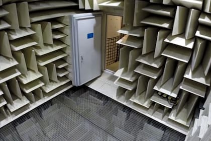 Se puede escuchar el giro de la cabeza, los latidos del corazón y la respiración