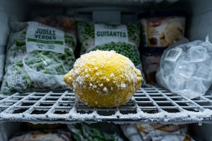 Se puede guardar el limón en el freezer antes de usarlo (Foto: Gemini)