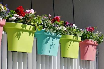 Se puede hacer una combinación de plantas, flores y colores en macetas para balcones, patios o terrazas