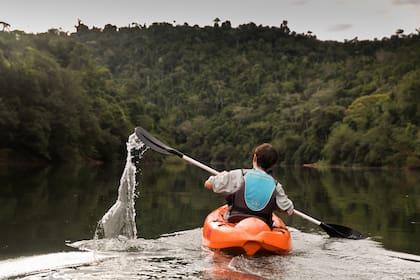 Se puede ir en kayak por el arroyo Paraíso y así disfrutar de la fauna próxima a la biosfera Yabotí