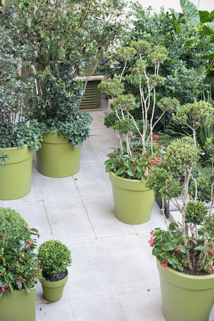 Se puede jugar con formas y alturas distintas, pero mantener cierta coherencia de color o material