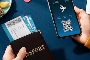 Se puede utilizar un pasaporte en forma de libro o tarjeta como alternativa a una Real ID para viajes nacionales