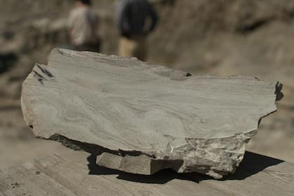 Se puede ver la marca de una ola en una roca encontrada en el arroyo