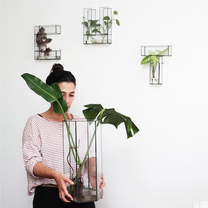 Se pueden apoyar en un estante, una pared o usarlos como floreros en primavera.