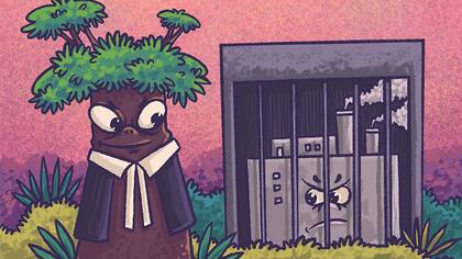 Se pueden encontrar aliados del clima en los lugares más inesperados.