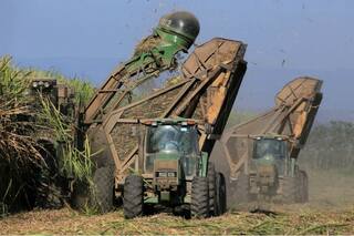 Energías renovables: el foco del primer Congreso Mundial del Azúcar en el NOA