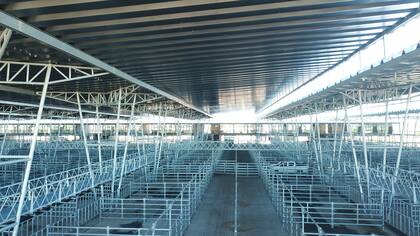 Se realizaron 55.000 metros cuadrados de pisos de hormigón para la hacienda, unas cuatro hectáreas de techo de acero para cubrir los 450 corrales de venta y los 2570 metros de pasarelas aéreas. Asimismo, se concluyeron los trabajos de 17 atracaderos curvos, 300 corrales galvanizados en el sector de carga y descarga y las 16 básculas para pesar los animales
