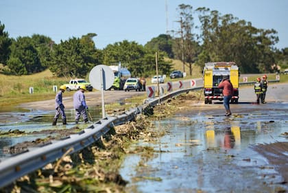 Se realizó un intenso operativo para limpiar la zona