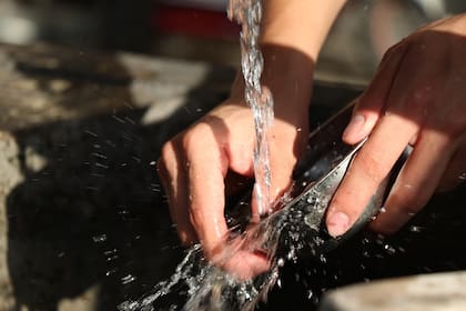 Se recomienda desinfectar la esponja regularmente, por ejemplo, al sumergirla en agua hirviendo o al meterla húmeda en el microondas durante 1 minuto (Foto ilustrativa: PIXABAY)