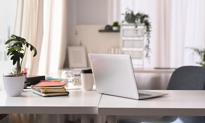 Se recomienda poner una planta cerca de la computadora para filtrar las energías negativas (Foto: iStock)