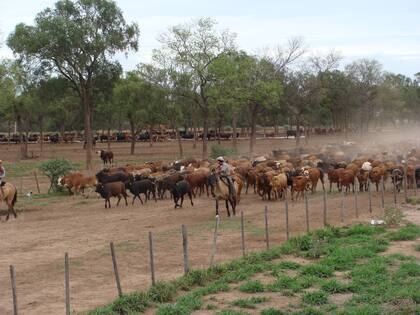 Se recomienda realizar estas evaluaciones de desempeño de manera semestral para generar una buena práctica en la gestión de personas dentro de la organización