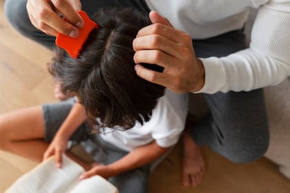 Se recomienda revisar de vez en cuando la cabeza para ver si se tiene o no piojos