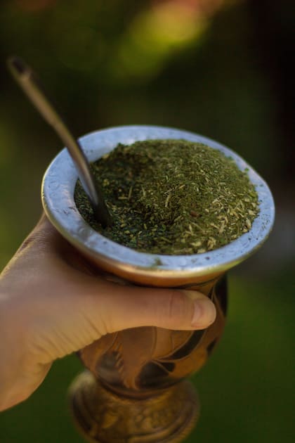 Se recomienda tomar mate con salvia luego de comer ya que es cuando el cuerpo está más predispuesto a absorber las propiedades de los alimentos