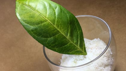 Se recomienda utilizar pequeñas cantidades, ya sea espolvoreado sobre la superficie o diluido en agua