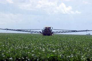 Sustentabilidad: el combate de las malezas con inteligencia artificial