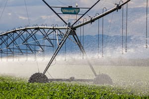 Qué cambia con el RIMI, la ambiciosa apuesta del Gobierno para las medianas inversiones
