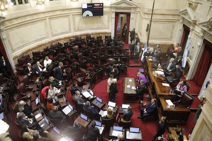 Se renuevan 24 bancas de senadores