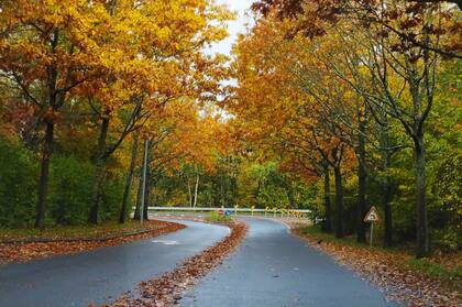 “Se respeta mucho la tranquilidad, acá no tenemos al DJ del barrio que musicaliza toda la manzana, eso está prohibido; no hay motos haciendo ruido, se respeta mucho el verde y los espacios públicos, hay una limpieza superior, es ciertamente sorprendente"