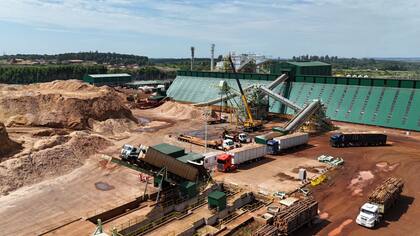 Se reutilizan los subproductos (ramas, aserrín y recortes de madera)