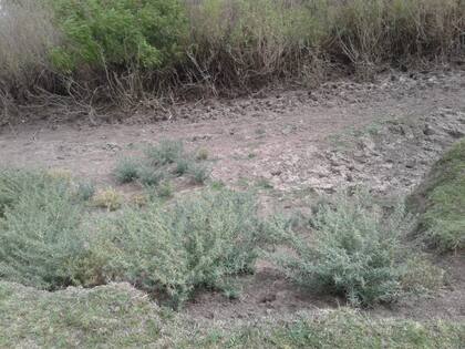 Se secaron cursos de agua