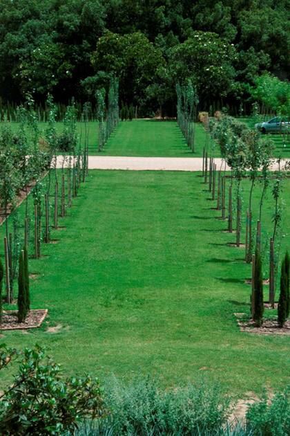 Se sembraron distintas especies