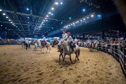 Se sumará por primera vez la raza Pony Silla Argentino, que abrirá su registro para nuevos inscriptos