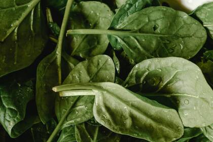 Se trata de la espinaca, que es rica en vitaminas A, C, E y K