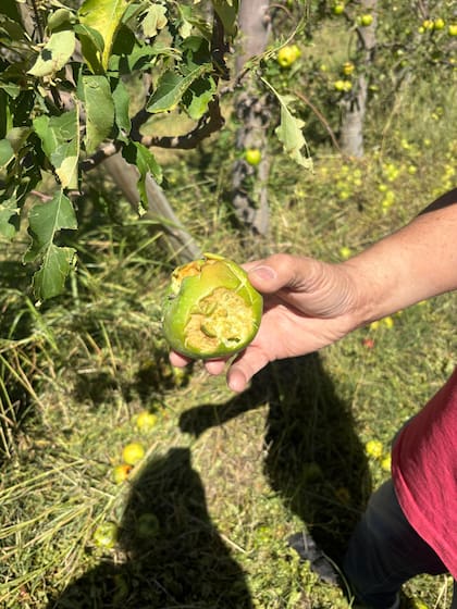 Se trata de la tercera tormenta de granizo de la temporada