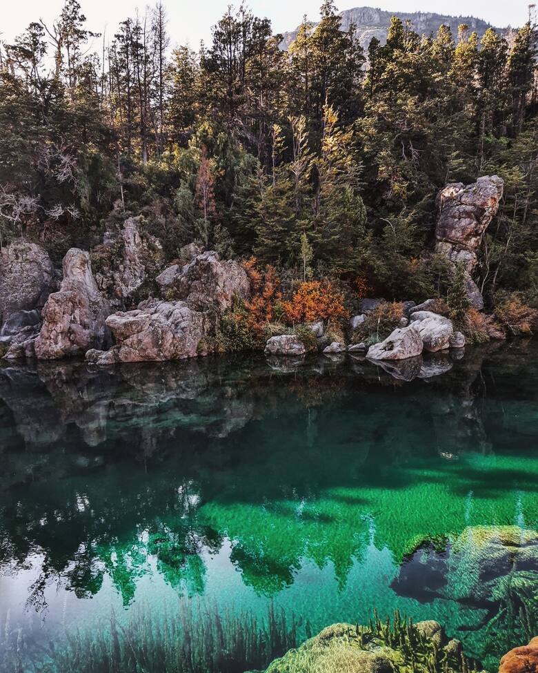 parque nacional los alerceres