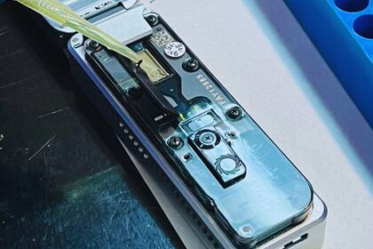 Se trata de un hito científico para entender la biología del insecto vector que afecta al cereal