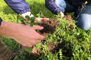 Los secretos para manejar un recurso imprescindible para la agricultura