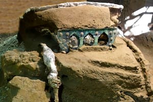 Pompeya: descubren una “excepcional” carroza de 2000 años en las ruinas romanas