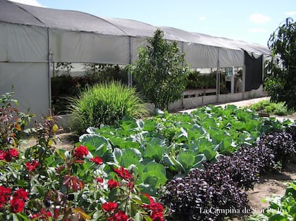 Se trata de una experiencia para conectar con la naturaleza