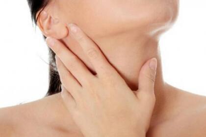 Se trata de una glándula clave en la función del organismo