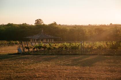 Se trata de una gran alternativa para disfrutar de estos días de verano (Gentileza: Bodega Gamboa)