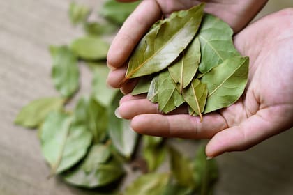 Se trata de una mezcla natural para limpiar y perfumar tu hogar