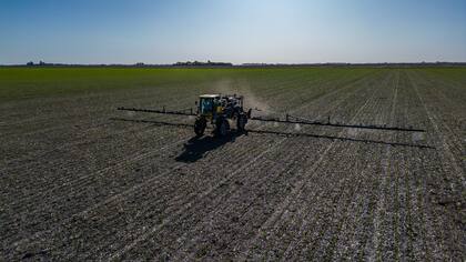 Se usan cámaras entrenadas con inteligencia artificial