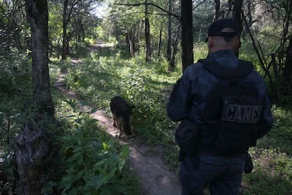 Se usaron perros adiestrados para rastrillajes