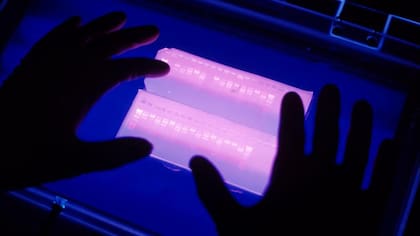 Se utiliza una técnica que permite obtener el perfil genético de una persona en un formato similar a un código de barras