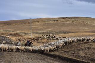 Temen que se pierda un negocio de exportación a Israel por una medida del Gobierno