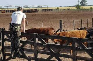 Las patrullas rurales son importantes