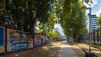 Se van a plantar nuevos árboles además de mantener los que ya están (Foto: GCBA)