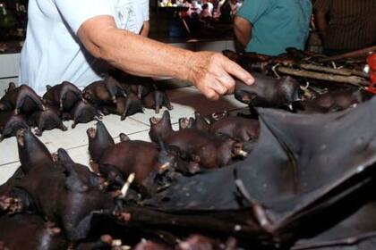 Se venden murciélagos en un mercado indonesio este mes